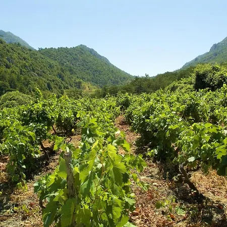 In Karbuni With Sea View, Balcony, Air Conditioning, Wifi 5095-1 Dom wakacyjny *